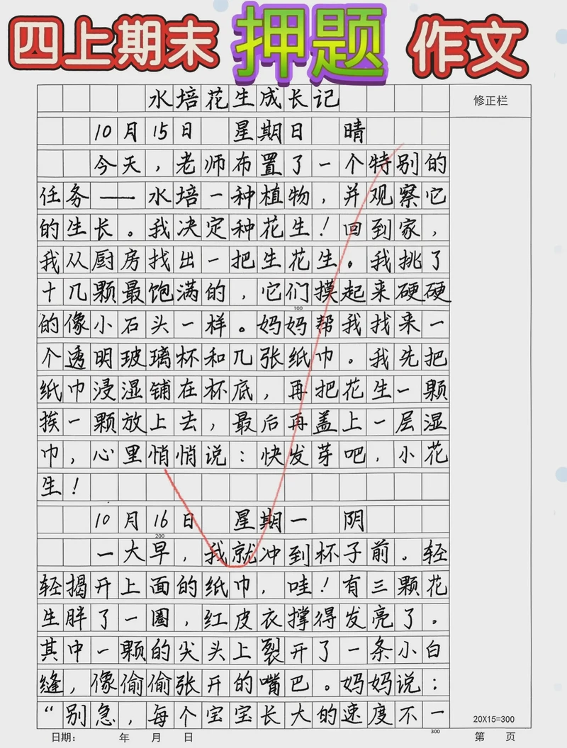 今天，我学会了新技能！