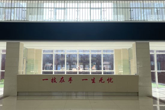 午后阳光下的静谧时光…