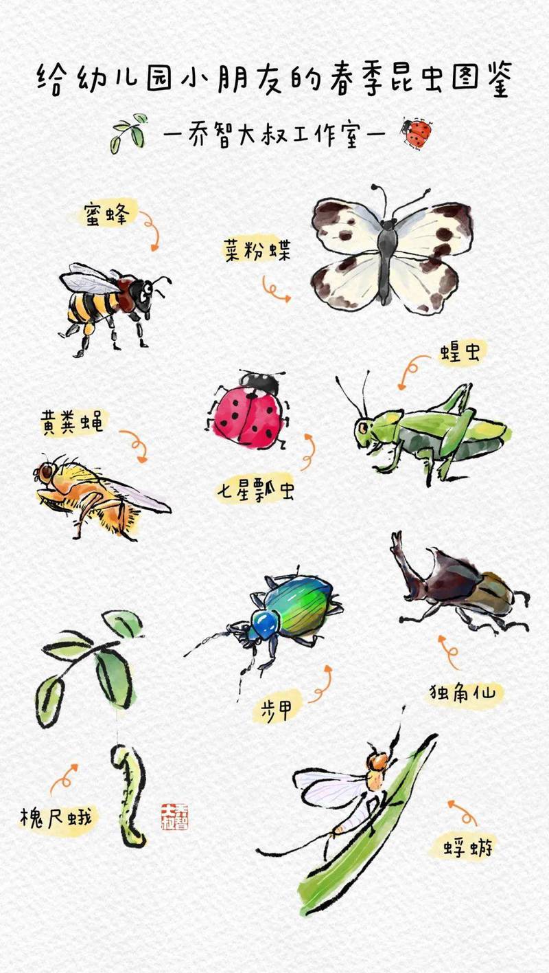 春天的故事｜那口虫