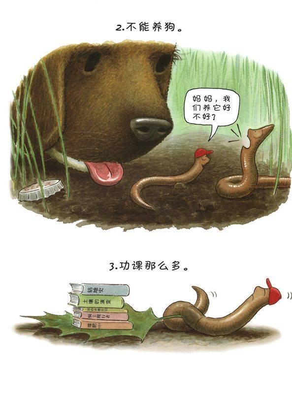 蚯蚓日记—一天的科学探索之旅