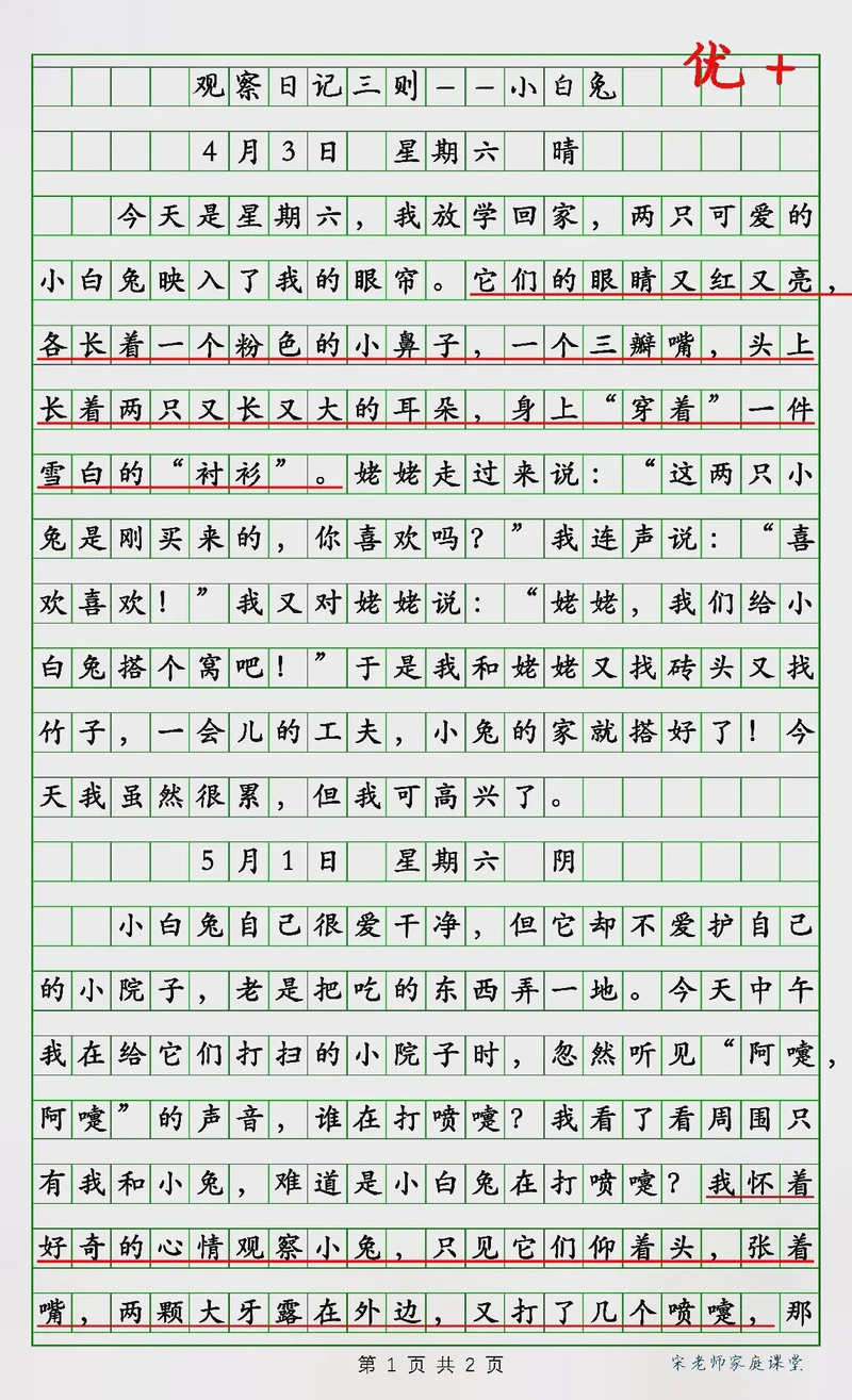 三则微观察—生活里藏着的小惊喜