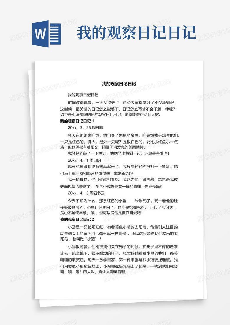 今天,我观察到了一只小鸟的日常! 今天,我观察到了一只小鸟的日常!