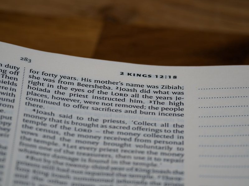 今天，我终于没骗自己…