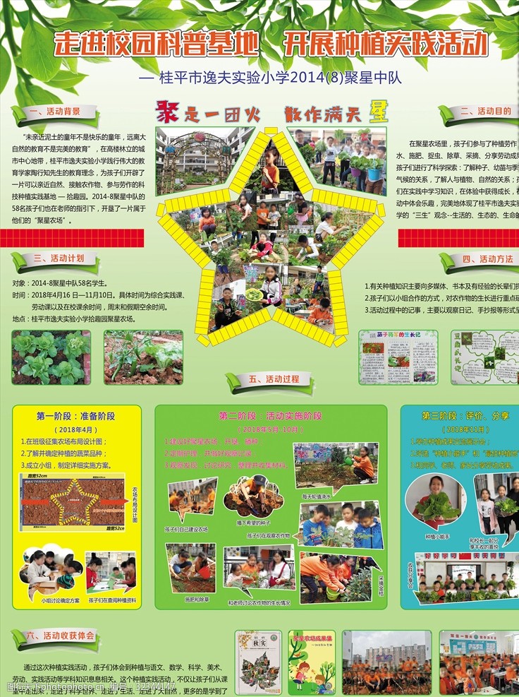 阳台上的“小肉球”和那只蹭饭的猫·一个慵懒周末的观察记录