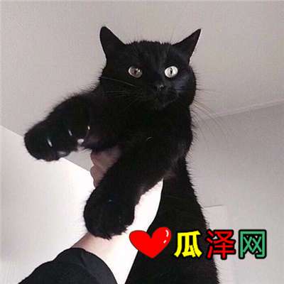 在数据流中遇见你·网络情话的温柔告白