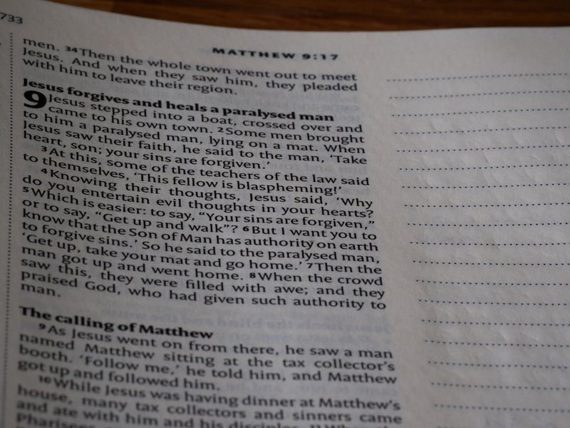 阳光下的欢笑—二年级春游记