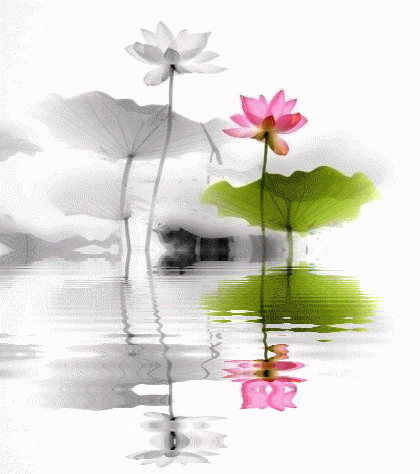 情话如画,爱意如诗! 情话如画,爱意如诗!