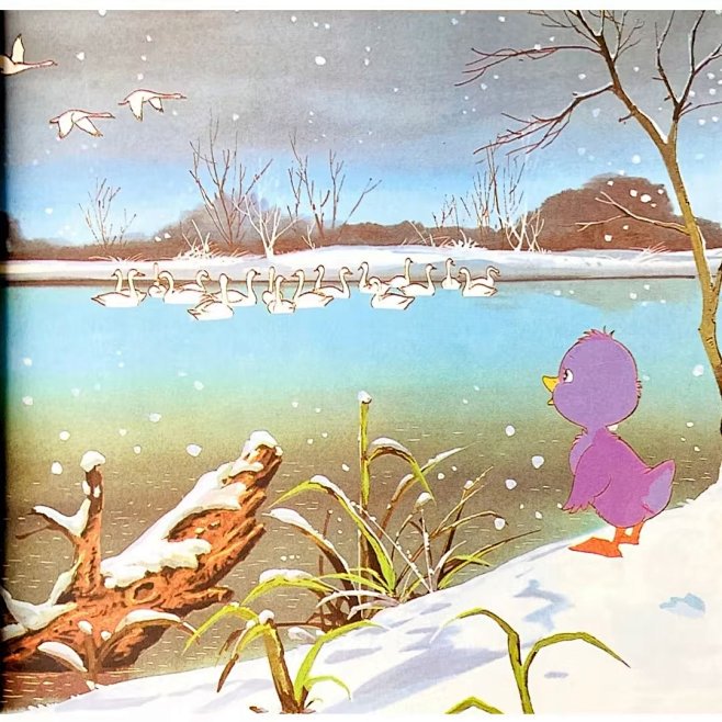 丑小鸭的挣扎与蜕变…