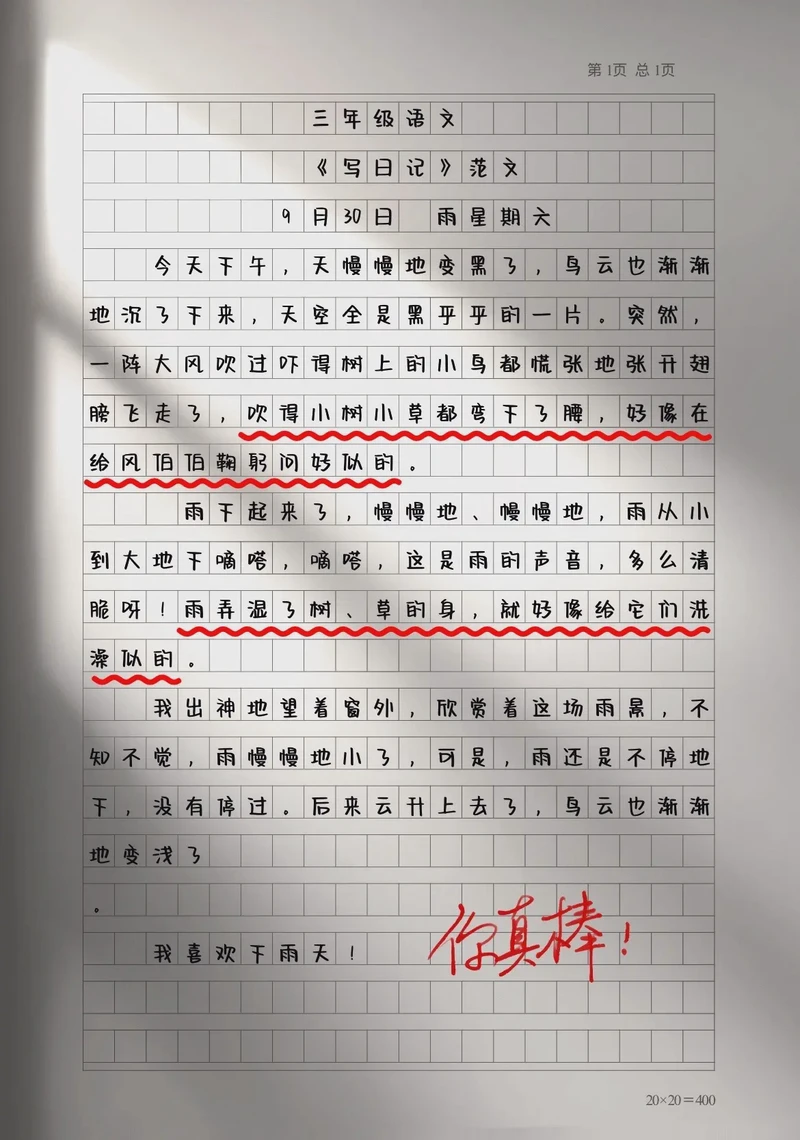 雨后的清晨，万物复苏…