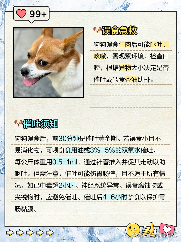 它突然不叫了，我才发现它在偷偷哭！