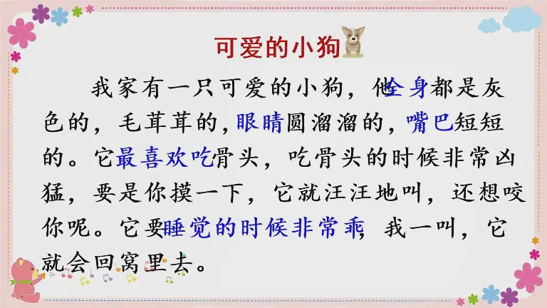 我的新伙伴丨毛茸茸的小狗日记