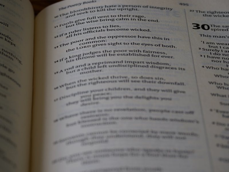 今天我学会了英语单词…