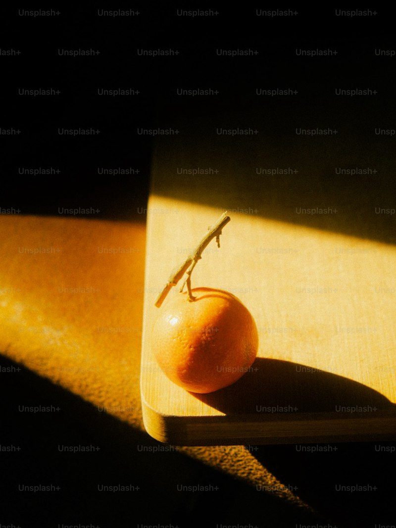 秋风中的守望者·银杏树的季节轮回