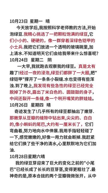豆芽的奇妙生长日记！