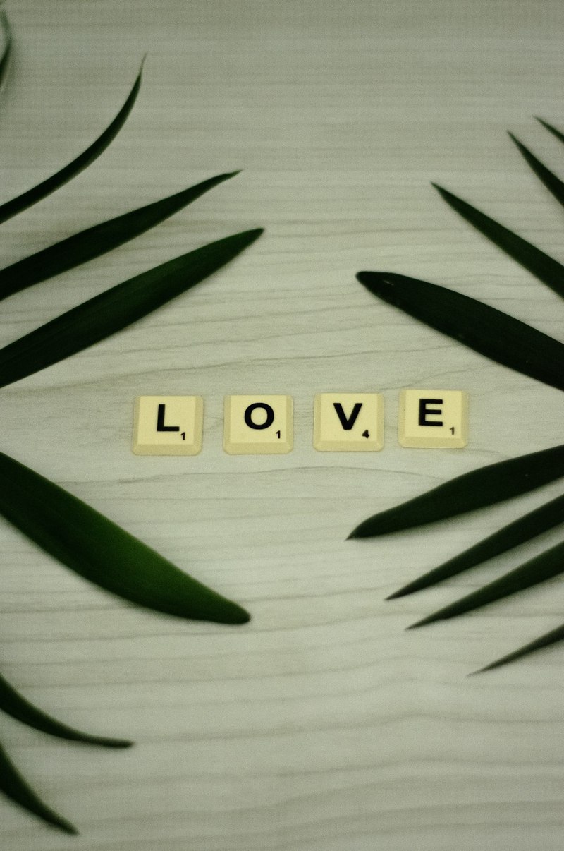 读林徽因的情话，像是在读一场关于爱的梦？