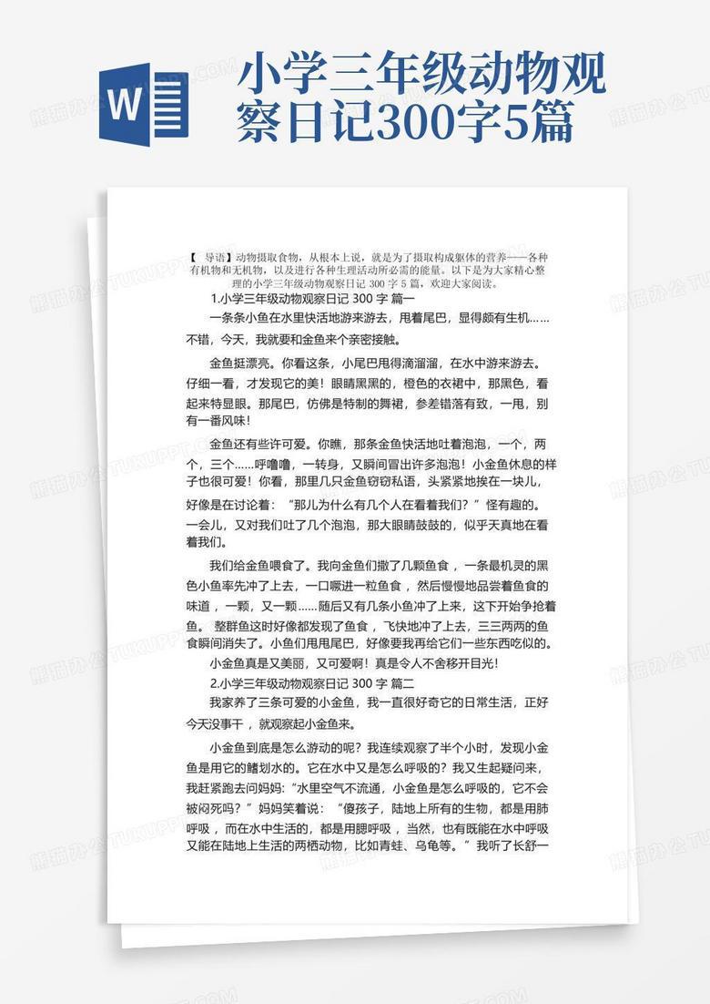 观察小猫的早晨！