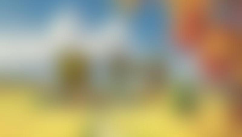 秋天的日记丨一片叶子的故事