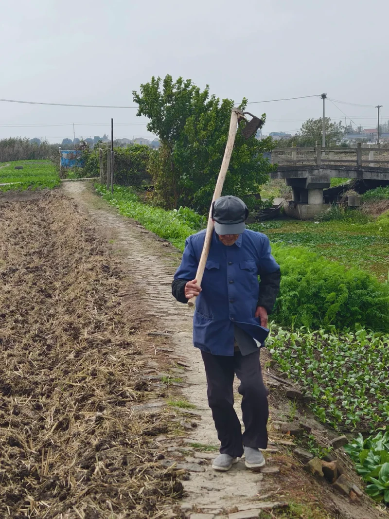 田埂上的悄悄话—农村真实的情话 田埂上的悄悄话—农村真实的情话