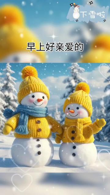 雪花轻舞，与你共白头？