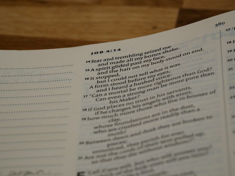 假期里的悠闲时光…