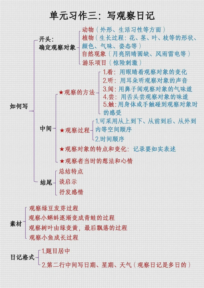 今天我终于看懂了“观察日记”到底是什么! 今天我终于看懂了“观察日记”到底是什么!