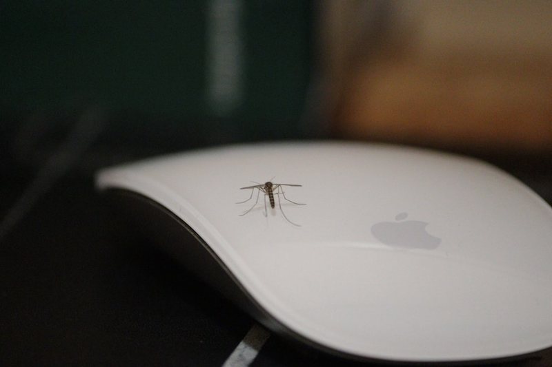 蚊香情话｜简单却温暖的心意