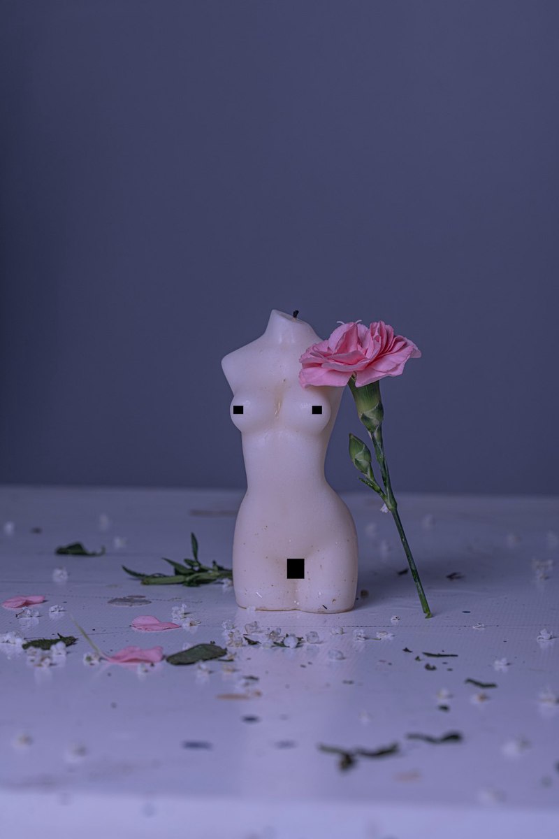 蔷薇公主的秘密…