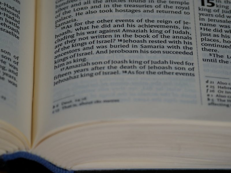 被遗忘的创世密码…