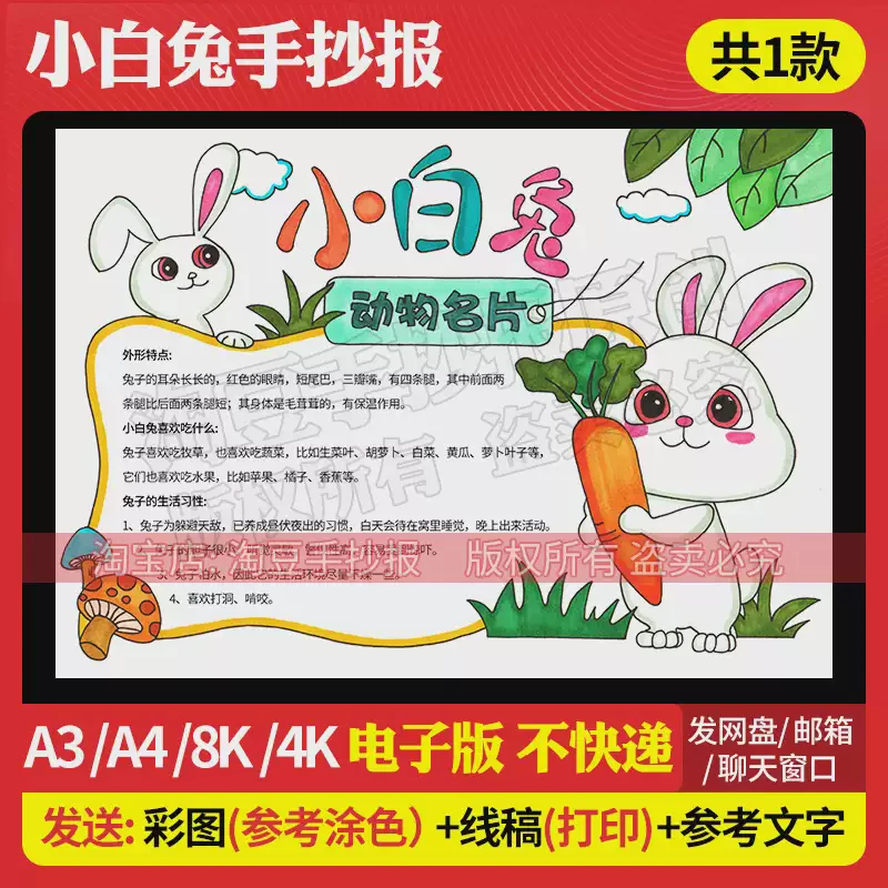 观察小白兔的一天…