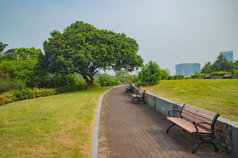 春日里的悠闲时光·—中山公园日记