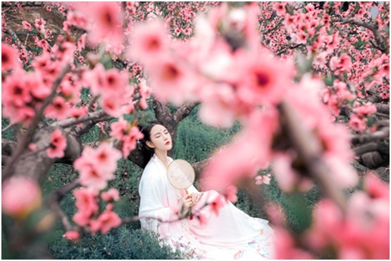 古诗中的夫妻情话·浪漫与深情的完美结合