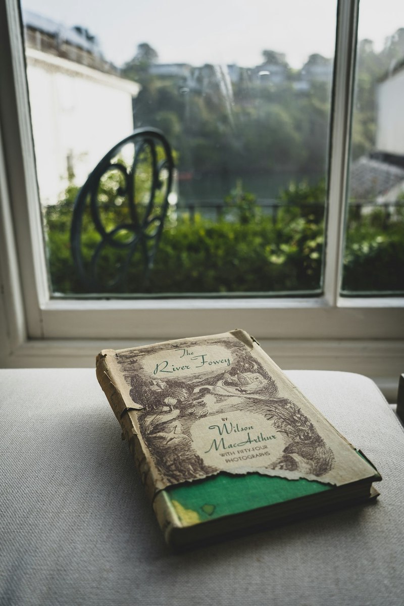 小菜园日记丨从泥土到餐桌的奇妙旅程