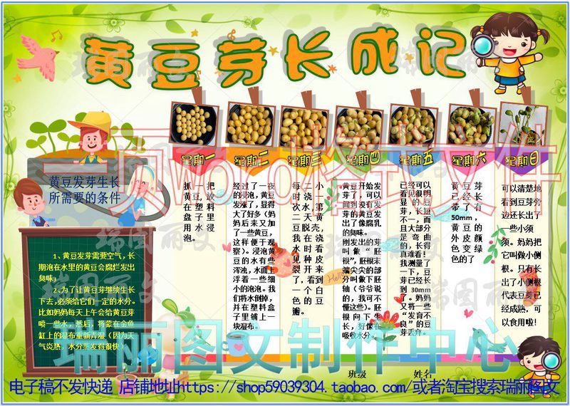 黄豆生长观察日记？