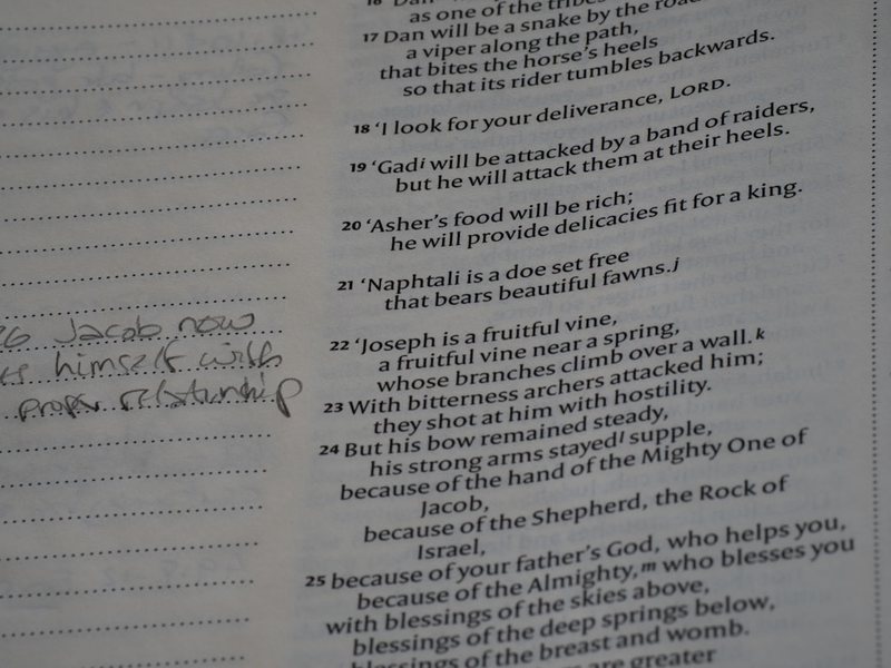 我的小小家务日记—三年级的我，开始学着做家务了！