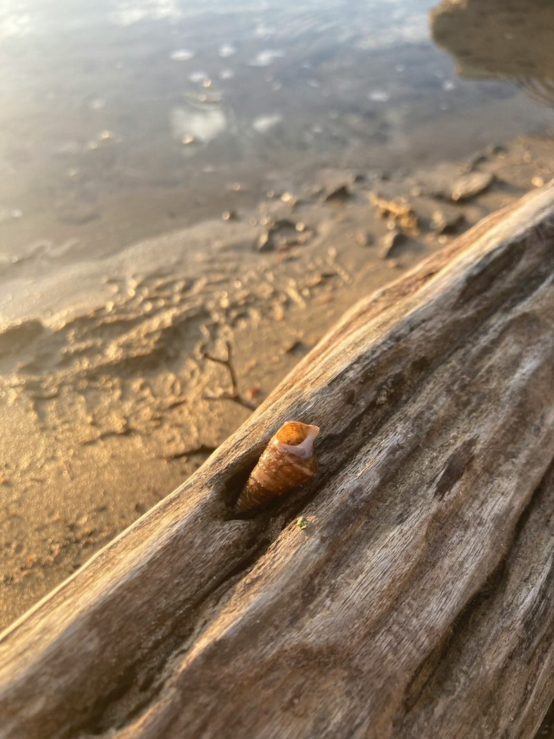 小蜗牛的慢旅行日记！