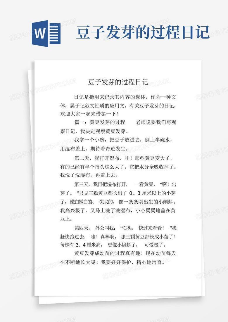 豆芽日记：绿意盎然的成长之旅