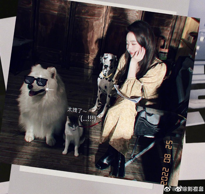 玫瑰的盛放与凋零! 玫瑰的盛放与凋零!