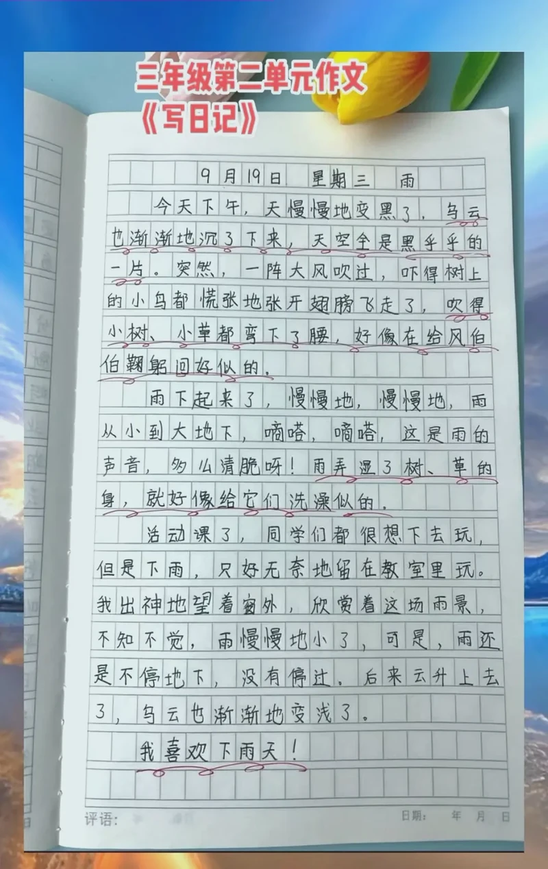 雨中漫步｜细雨的温柔与城市的新绿