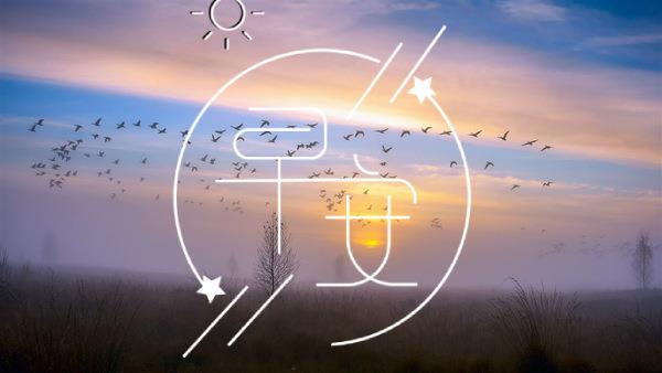 晨曦初现，心中只你一人