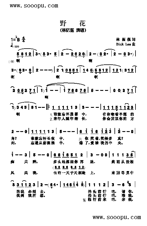 野花情话丨在歌词里种一束会开花的爱