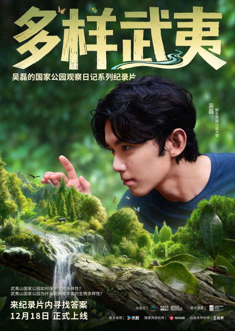 那个下雨天的长椅，让我想起妈妈