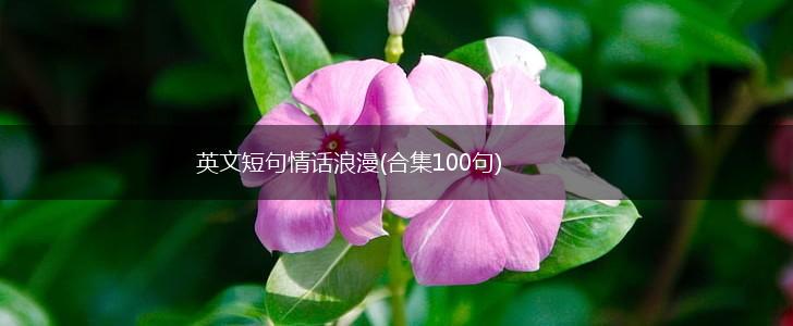 心语随风丨西班牙英文短句情话大全