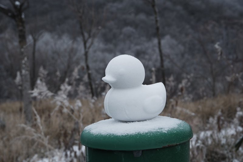 雪夜清雪，我看见了它？
