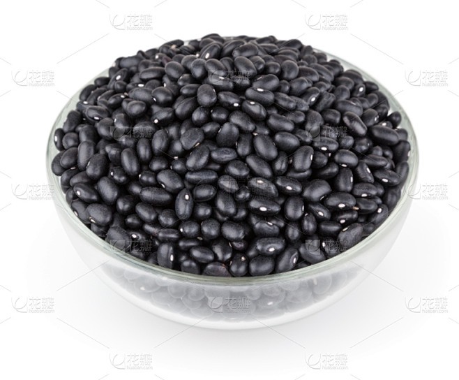 黑豆日记丨从发芽到成熟