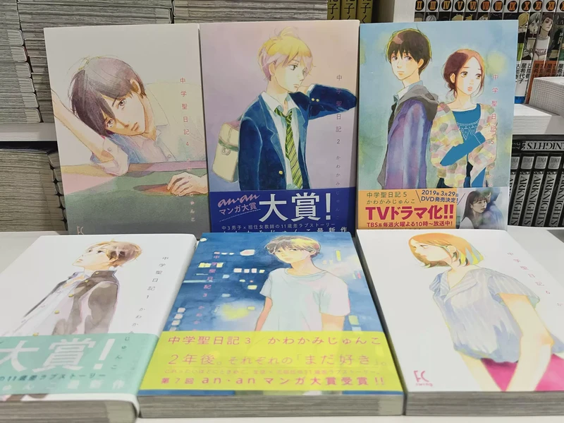 阳台上的那朵月季，突然就开了！