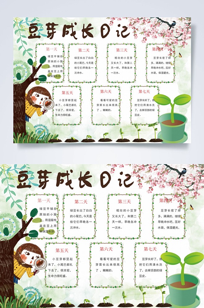 【一颗种子的奇妙旅程—我的阳台观察日记】