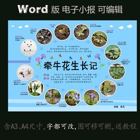 绿豆芽的第7天！