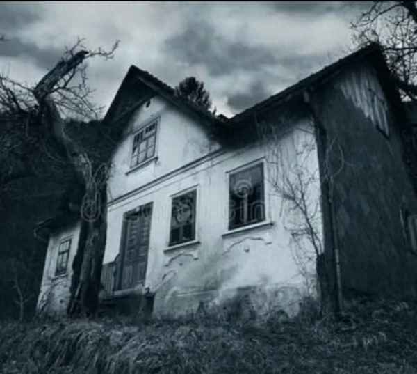 午夜图书馆的秘密？