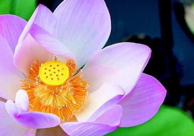 那些温暖而动人的“有名情话”？