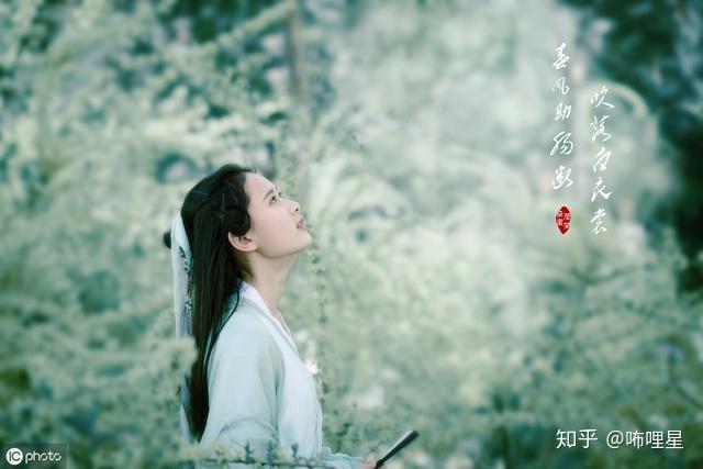 在成都的烟雨中，我们共赏千年风华？